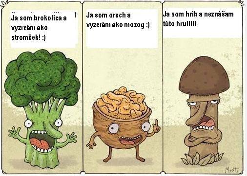 Obrázek