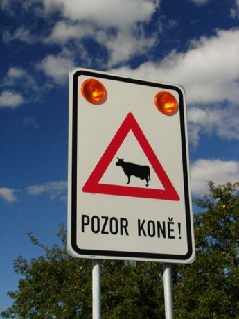 foto k příspěvku  od MAGIC-007
