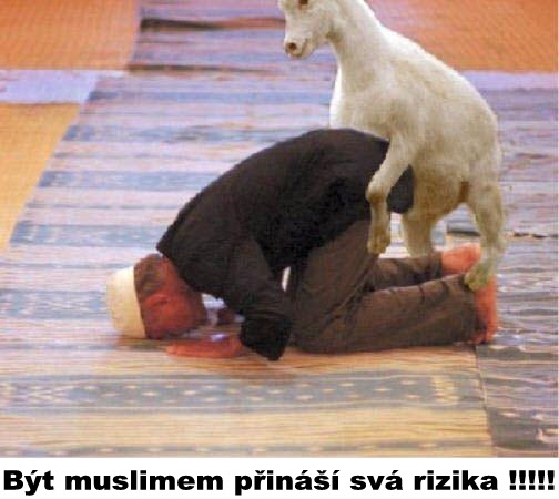 foto k příspěvku  od TheTimo