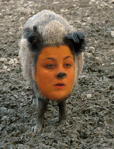 foto k příspěvku  od corradoman