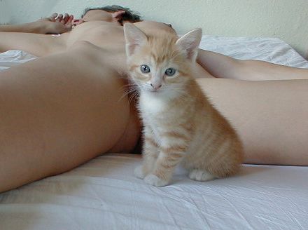 foto k příspěvku  od Thomas