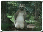 foto k příspěvku  od achos