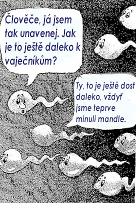 foto k příspěvku  od clown