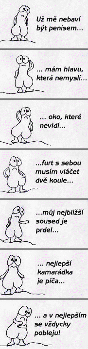 foto k příspěvku  od clown