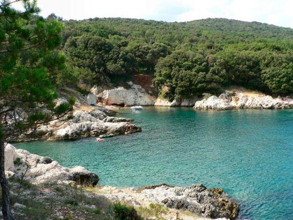 foto k příspěvku  od Crimson