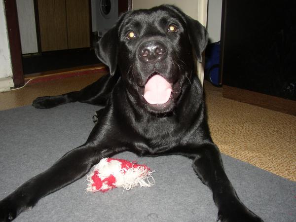 foto k příspěvku  od KhuTchi