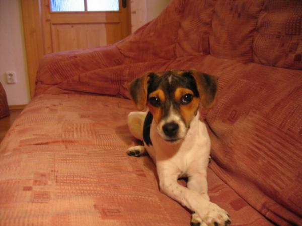 foto k příspěvku  od AUTOHIFICENTRUM Liberec