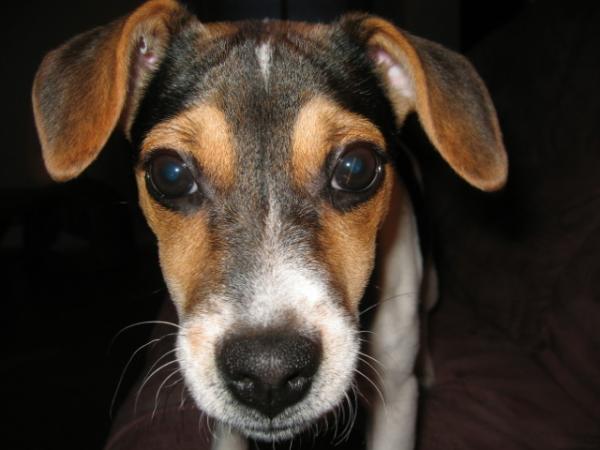 foto k příspěvku  od AUTOHIFICENTRUM Liberec