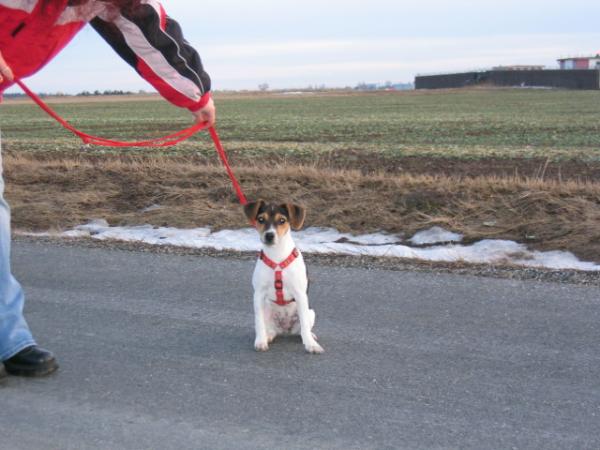 foto k příspěvku  od AUTOHIFICENTRUM Liberec