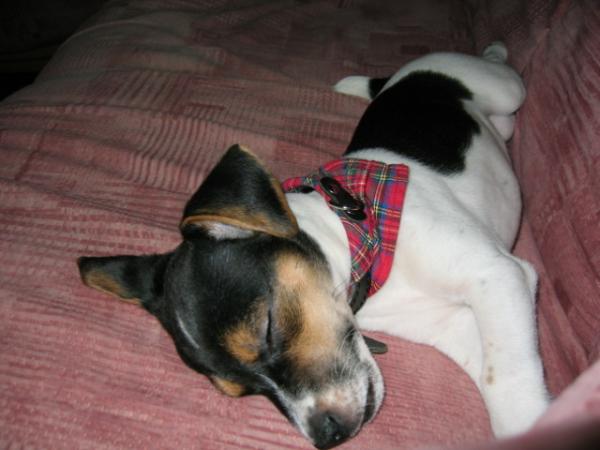 foto k příspěvku  od AUTOHIFICENTRUM Liberec