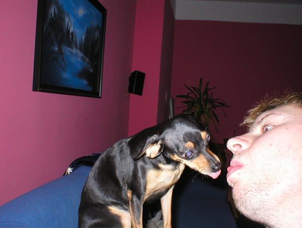 foto k příspěvku  od Mika