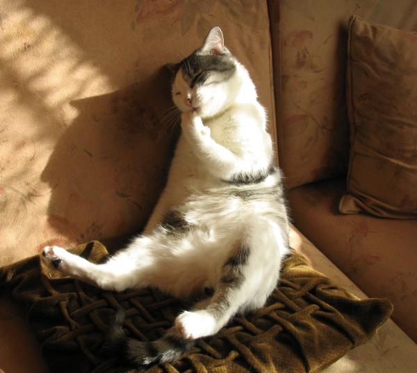 foto k příspěvku  od Magic