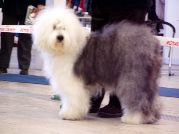 foto k příspěvku  od Route88