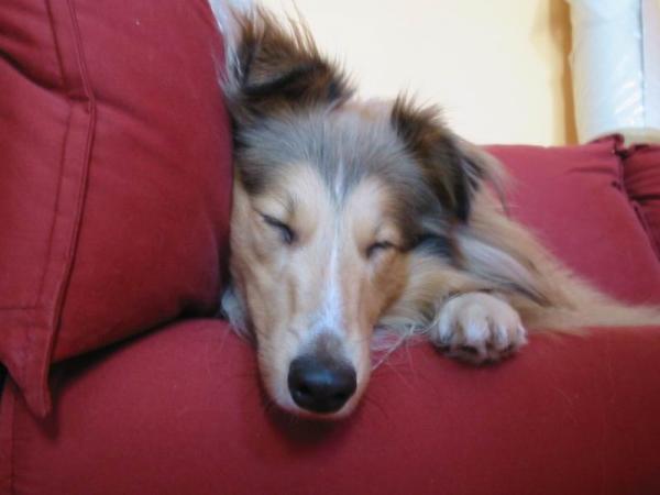 foto k příspěvku  od Sarka