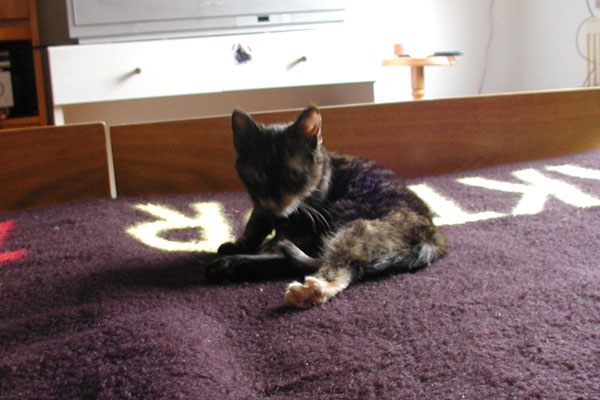 foto k příspěvku  od Luke-Jeep