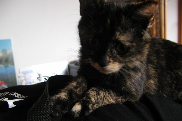 foto k příspěvku  od Luke-Jeep