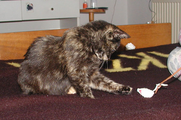 foto k příspěvku  od Luke-Jeep