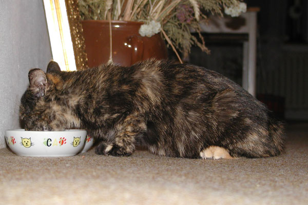 foto k příspěvku  od Luke-Jeep