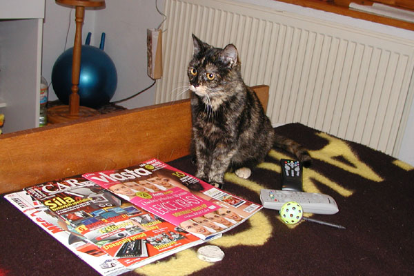 foto k příspěvku  od Luke-Jeep