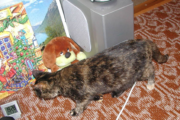 foto k příspěvku  od Luke-Jeep