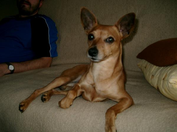 foto k příspěvku  od *konny*