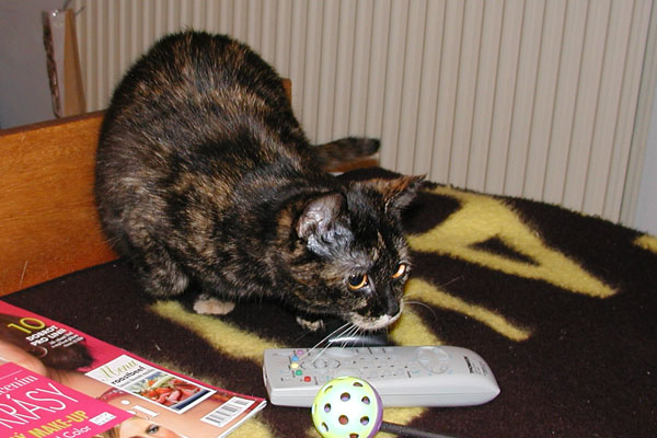 foto k příspěvku  od Luke-Jeep