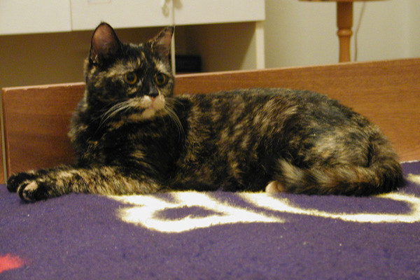 foto k příspěvku  od Luke-Jeep