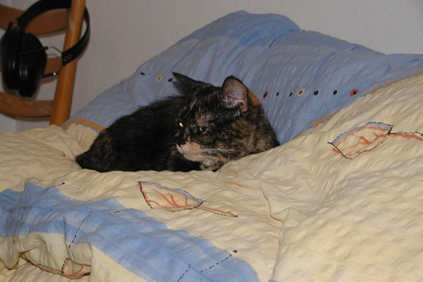 foto k příspěvku  od Luke-Jeep