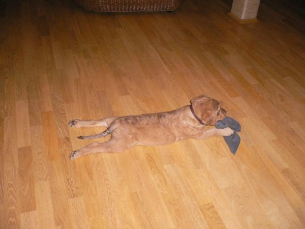 foto k příspěvku  od MarekSTI