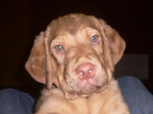 foto k příspěvku  od MarekSTI