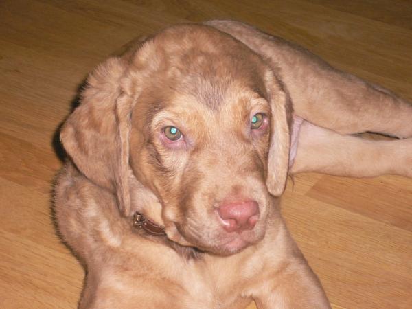 foto k příspěvku  od MarekSTI