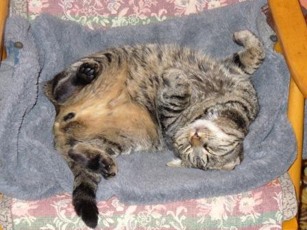 foto k příspěvku  od Camča_v