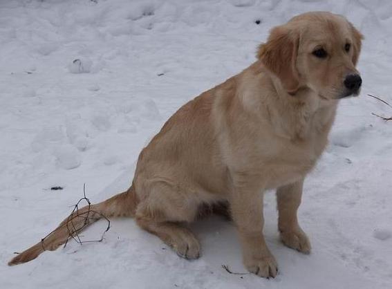 foto k příspěvku  od Vita_Megane