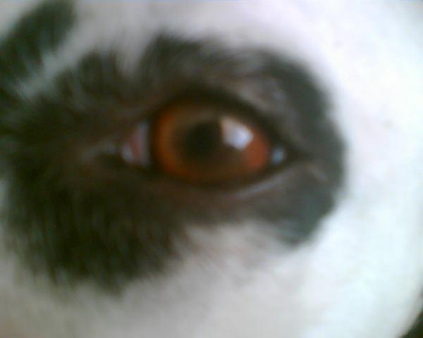 foto k příspěvku  od Beky