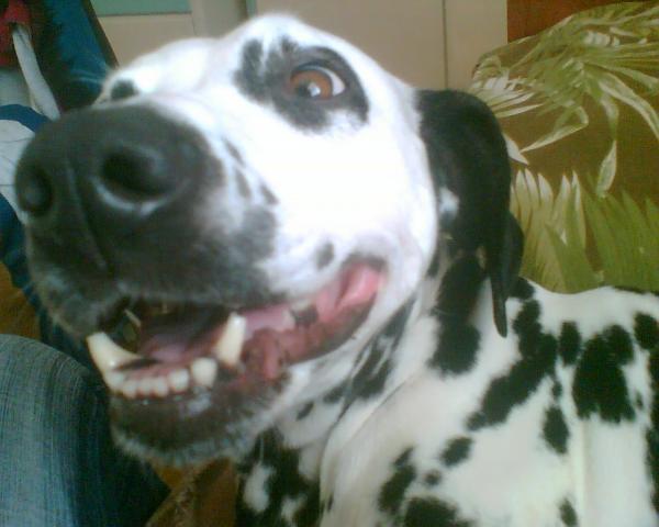 foto k příspěvku  od Beky