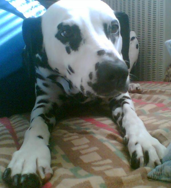 foto k příspěvku  od Beky