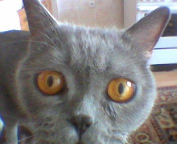 foto k příspěvku  od Beky