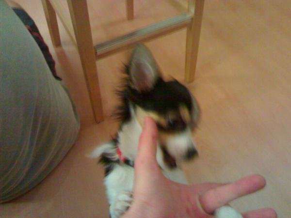 foto k příspěvku  od MarauderZ28