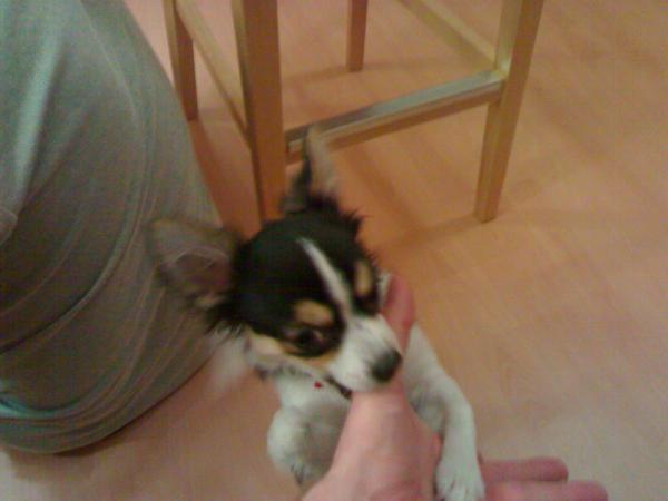 foto k příspěvku  od MarauderZ28