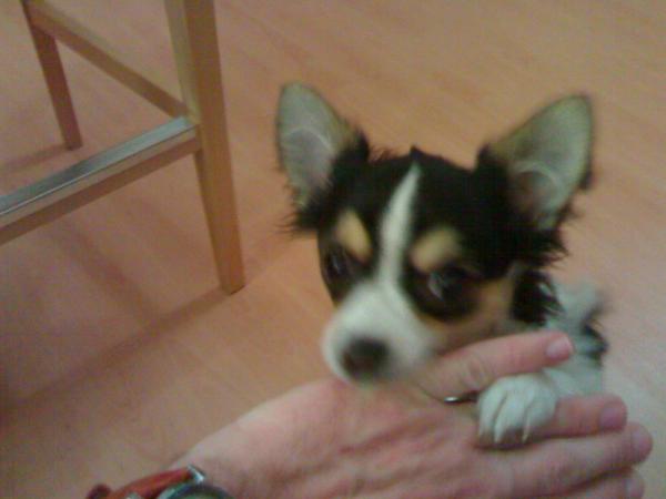 foto k příspěvku  od MarauderZ28