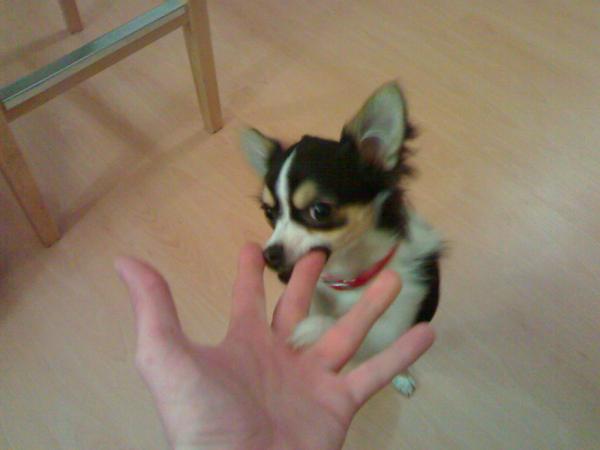 foto k příspěvku  od MarauderZ28