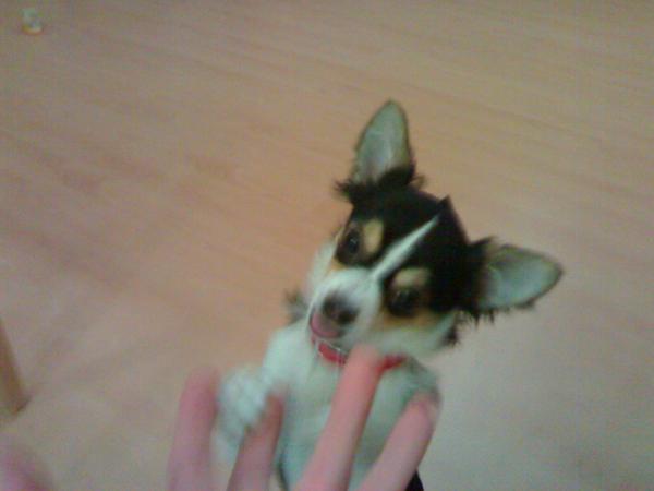 foto k příspěvku  od MarauderZ28