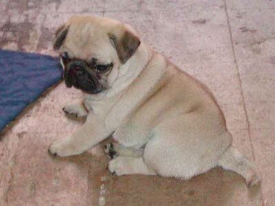 foto k příspěvku  od EFCA