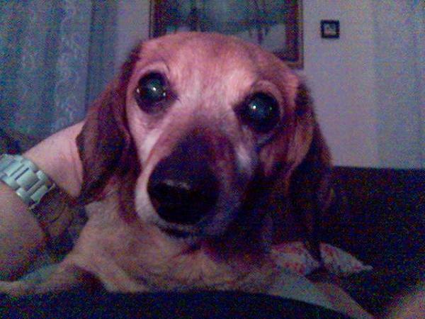 foto k příspěvku  od JR