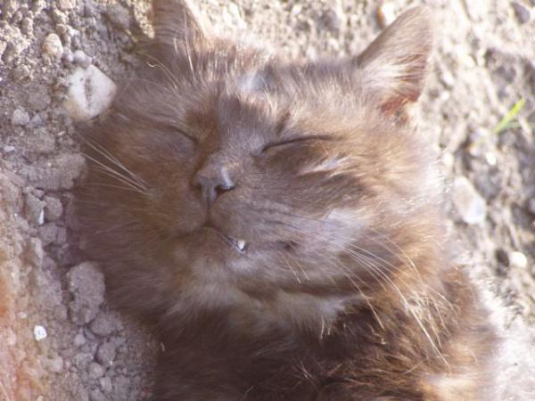 foto k příspěvku  od radek.613