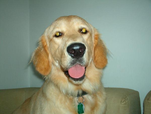 foto k příspěvku  od dj.DEKL