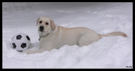 foto k příspěvku  od Pivson