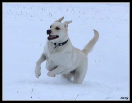 foto k příspěvku  od Pivson
