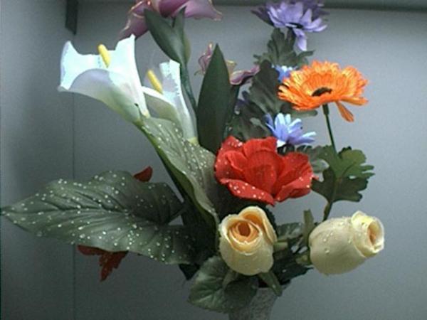 foto k příspěvku  od signum