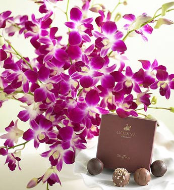 foto k příspěvku  od Zdenek